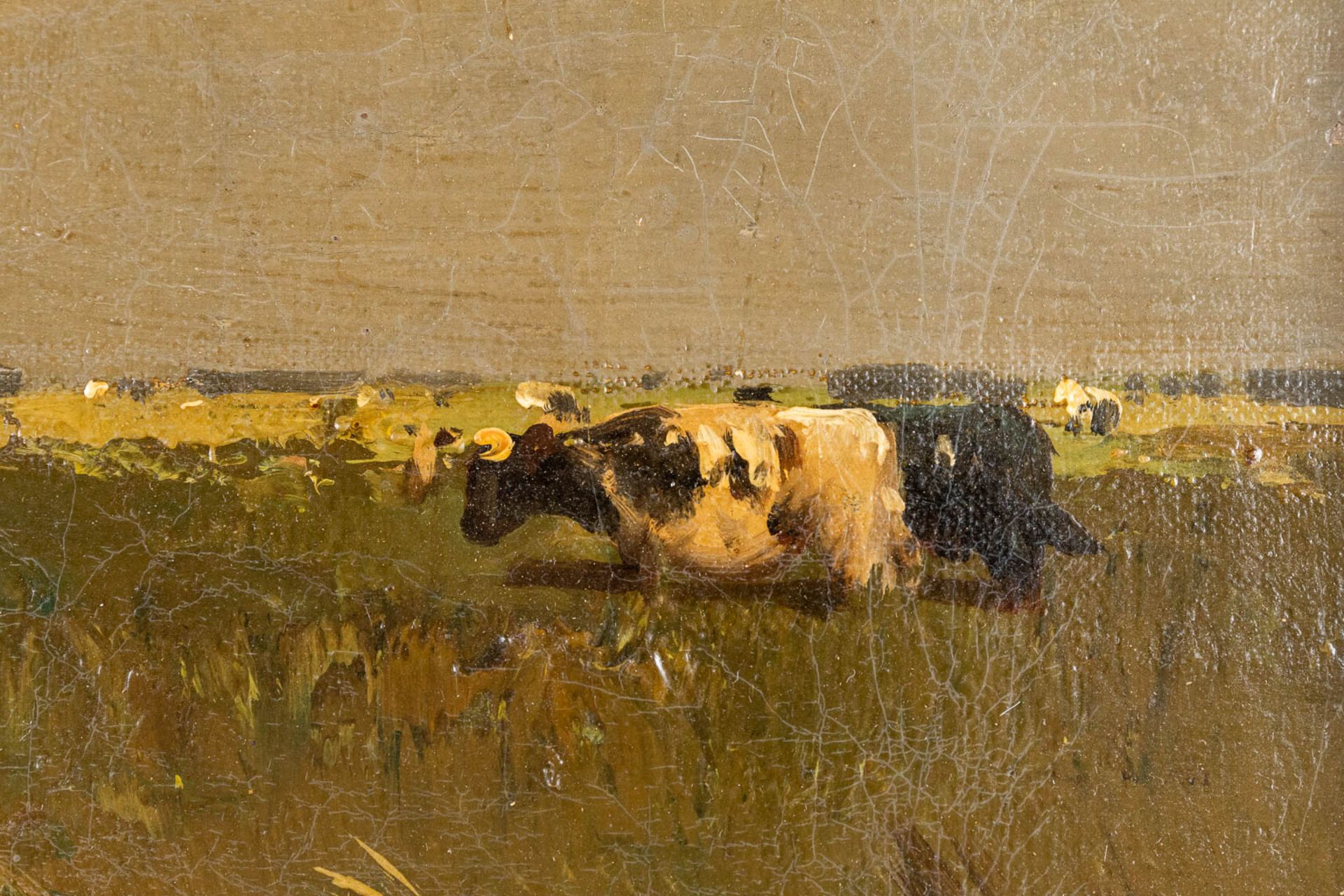 Henry SCHOUTEN (1857/64-1927) 'Pendant paintings, cows in a field' oil on canvas. (W: 80 x H: 55 cm) - Image 7 of 15