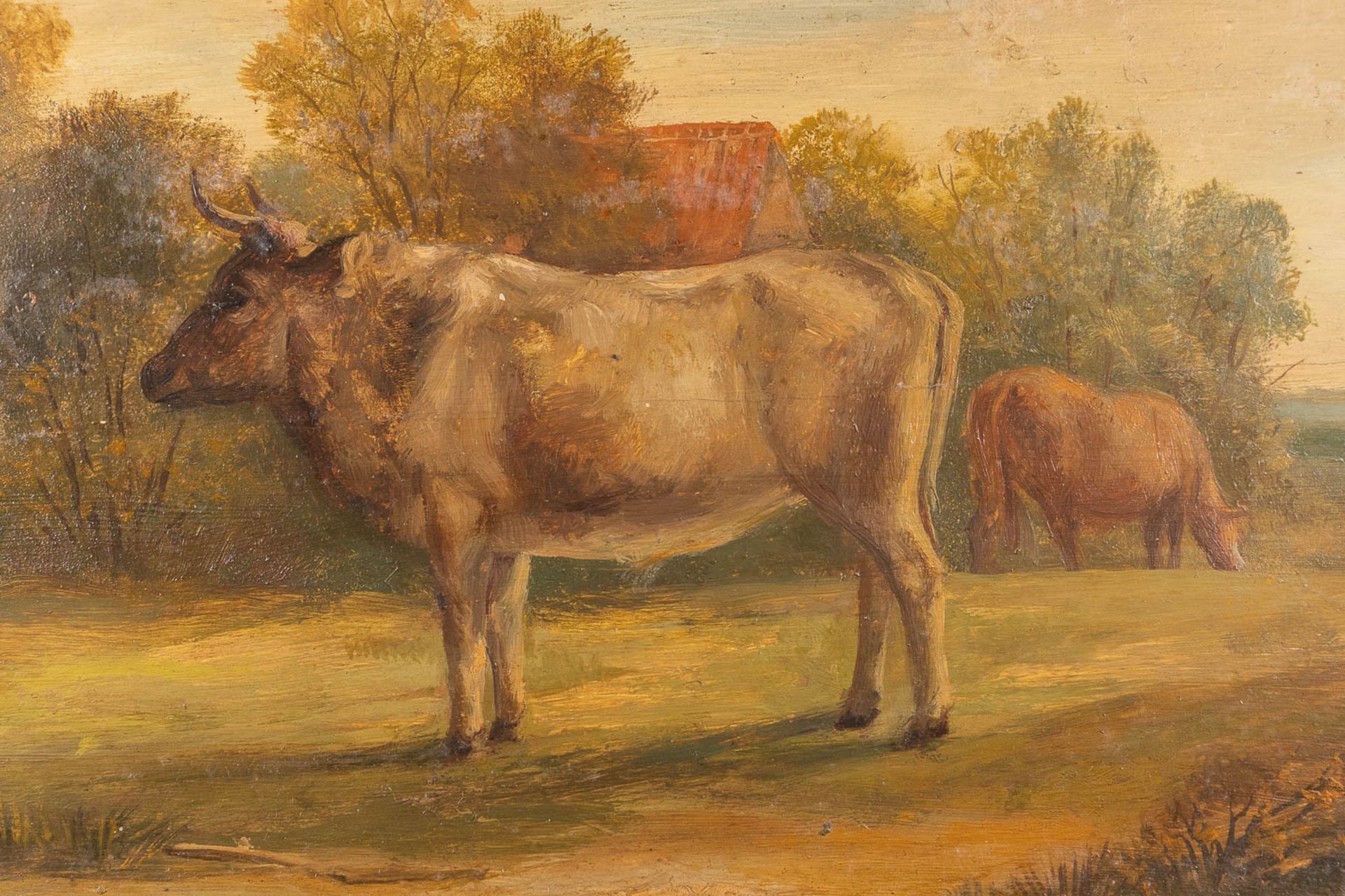 Cows in a field, a painting, oil on a panel. Circa 1900. (W: 43 x H: 34 cm) - Image 5 of 7