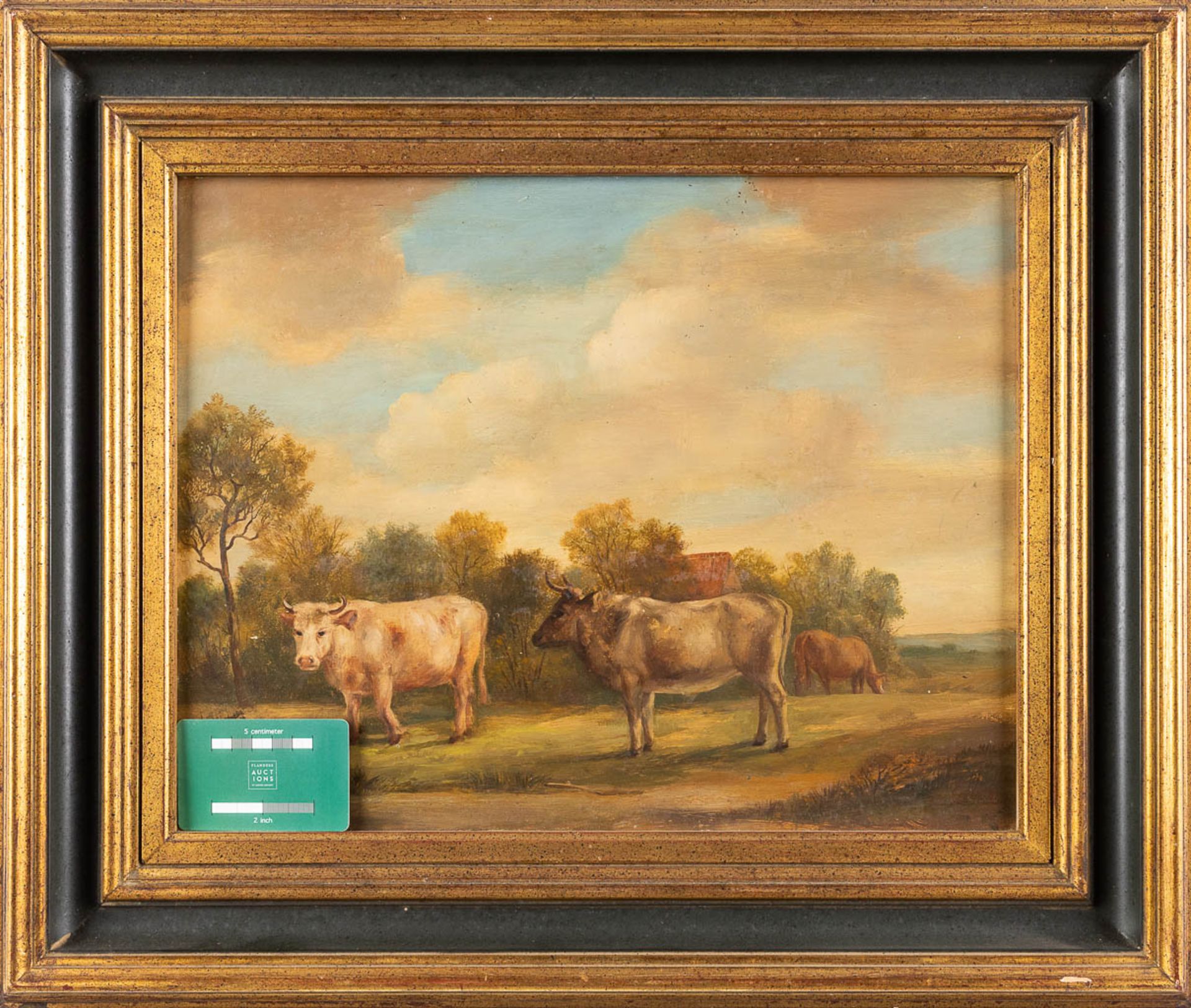Cows in a field, a painting, oil on a panel. Circa 1900. (W: 43 x H: 34 cm) - Image 2 of 7