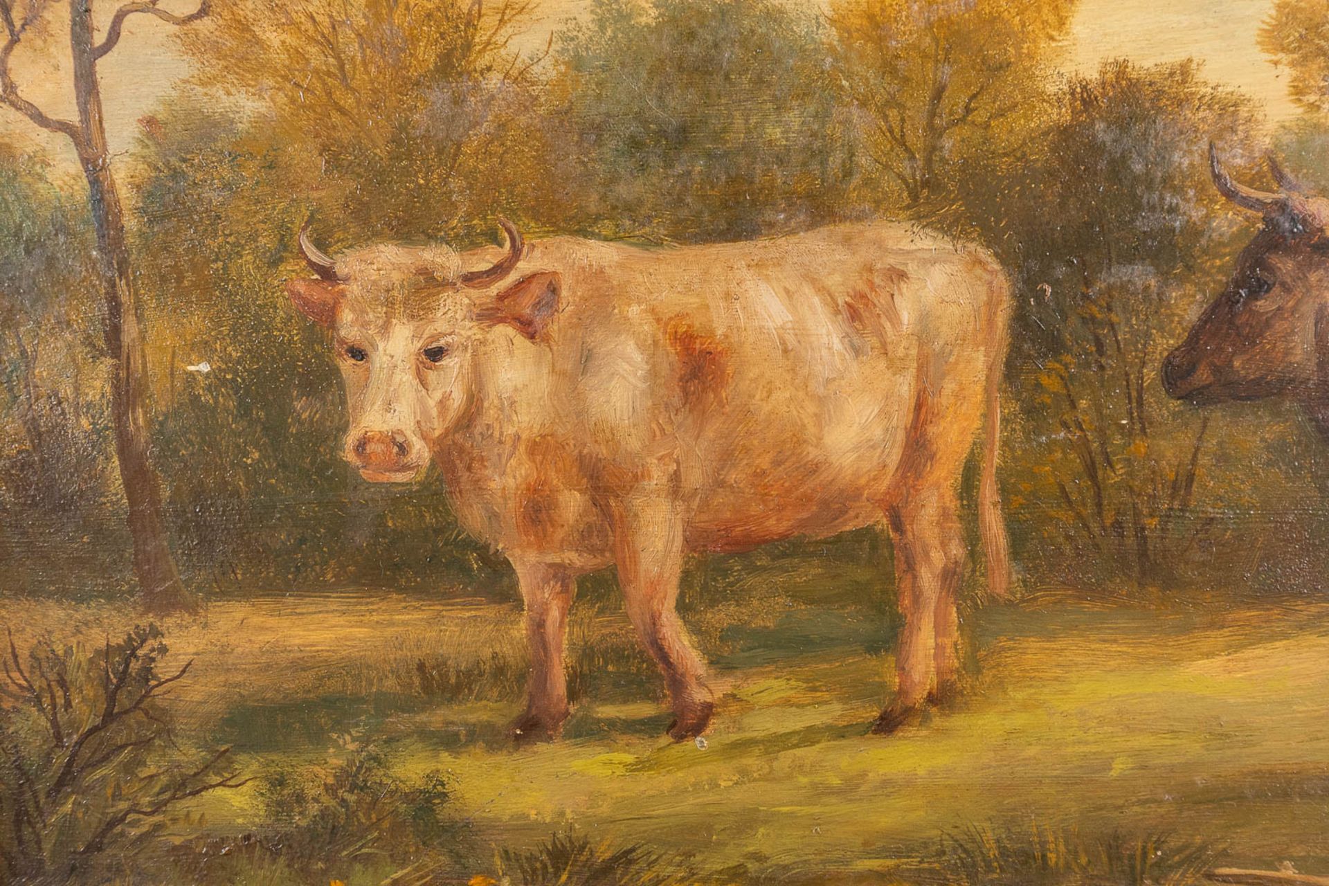 Cows in a field, a painting, oil on a panel. Circa 1900. (W: 43 x H: 34 cm) - Image 4 of 7
