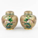 A pair of cloisonné vases with floral decor. (H: 23,5 x D: 21 cm)