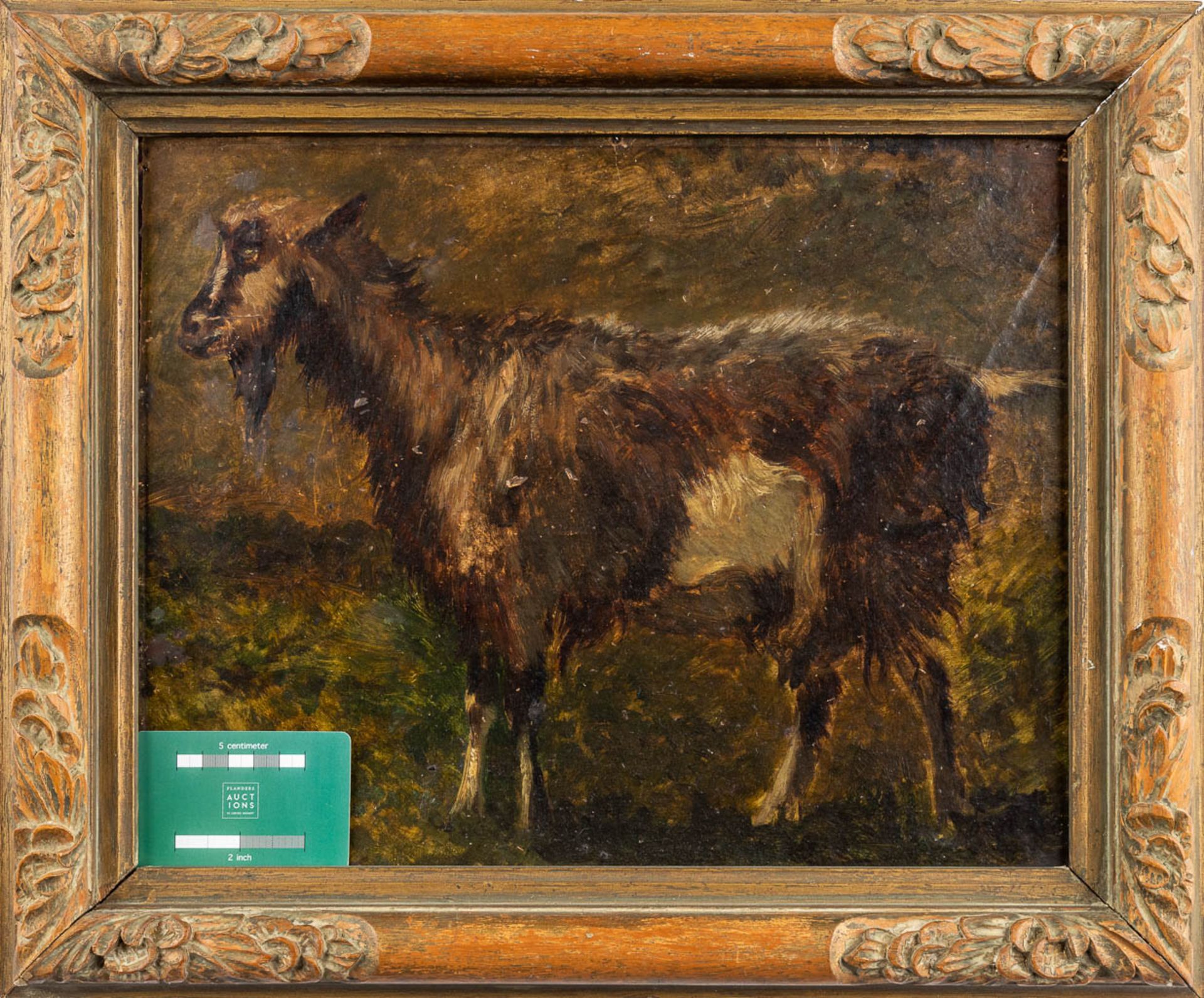Edouard WOUTERMAERTENS (1819-1897) 'Ram' oil on board. (W: 38 x H: 30 cm) - Image 2 of 7