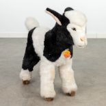 Steiff Studio Goat kid black/white, EAN 0446/60-502460, around 1991-1993 (53 x 55cm). (W: 53 x H: 55