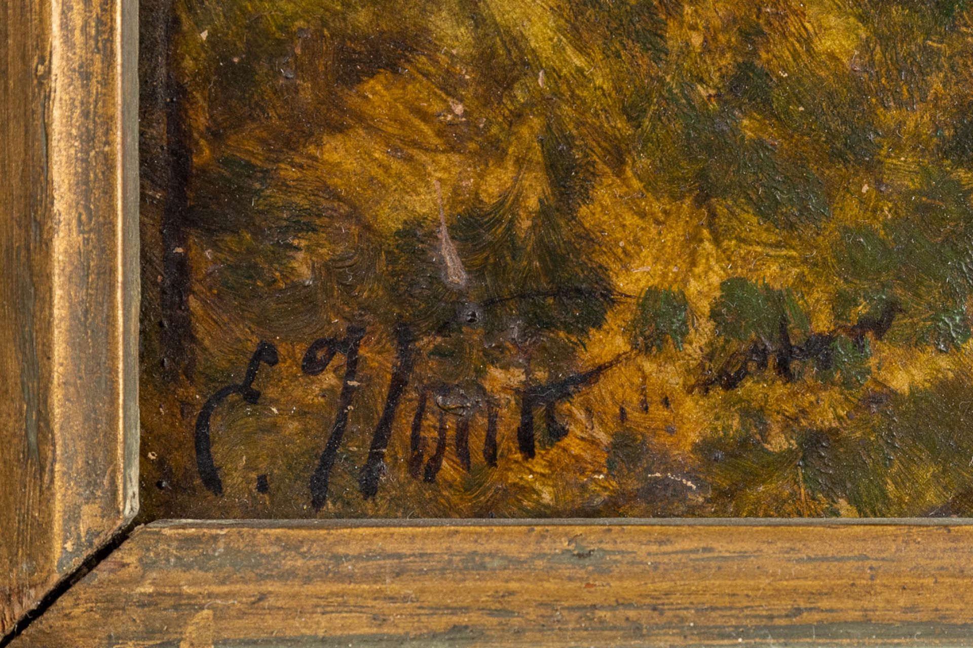Edouard WOUTERMAERTENS (1819-1897) 'Ram' oil on board. (W: 38 x H: 30 cm) - Image 5 of 7