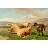 Louis ROBBE (1806-1887) 'The Black Sheep' a painting, oil on canvas. (W: 70 x H: 46 cm)