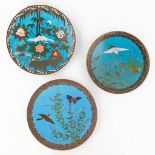 A set of 3 cloisonné display plates with a bird decor. Meji period. (D: 30,5 cm)