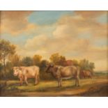 Cows in a field, a painting, oil on a panel. Circa 1900. (W: 43 x H: 34 cm)