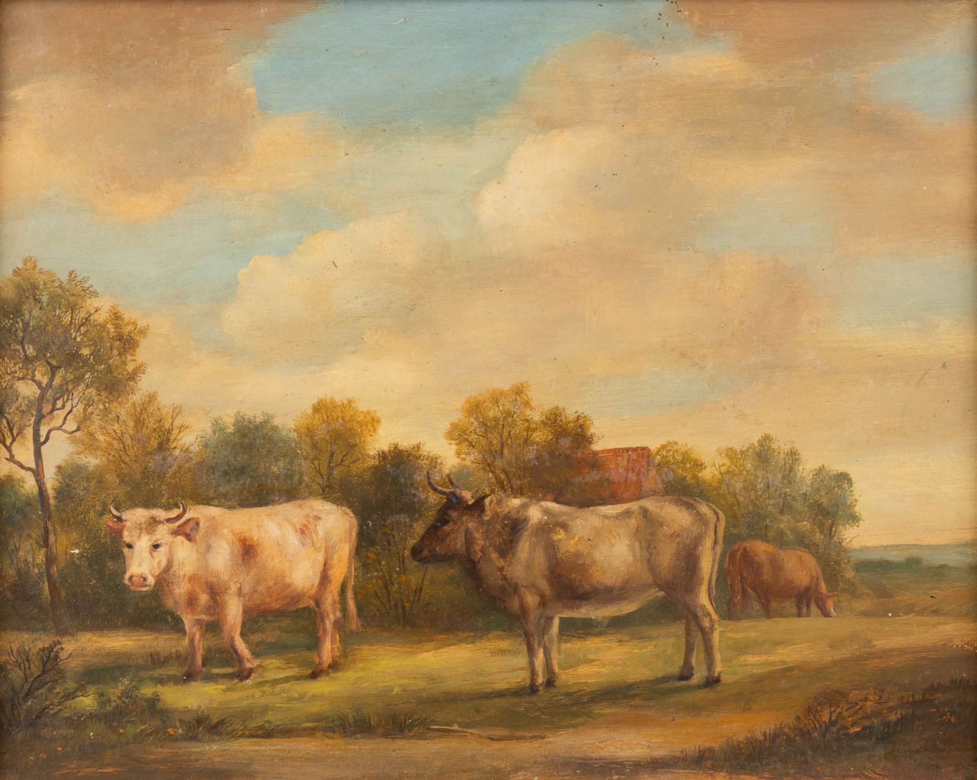 Cows in a field, a painting, oil on a panel. Circa 1900. (W: 43 x H: 34 cm)