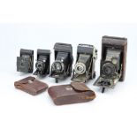 A Mixed Selection of Folding Cameras,