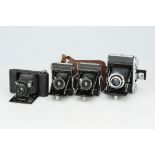 A Mixed Selection of Folding Cameras,