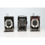 A Selection of Three Complicated Folding Cameras,