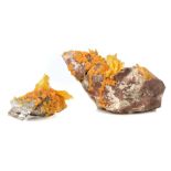 Minerals, Two Specimens of Mexican Wulfenite,