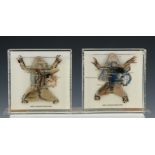 A Pair of Educational Preserved Dissected Frog Specimens,