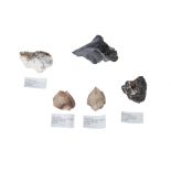 Collection of 12 Minerals From Devon & Somerset Quarries & Mines,