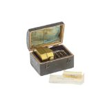 A Victorian Brass Scarificator, Evans