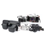 A Small Collection of Cameras,