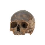 An Ancient Human Skull,