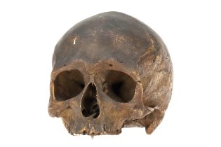 An Ancient Human Skull,