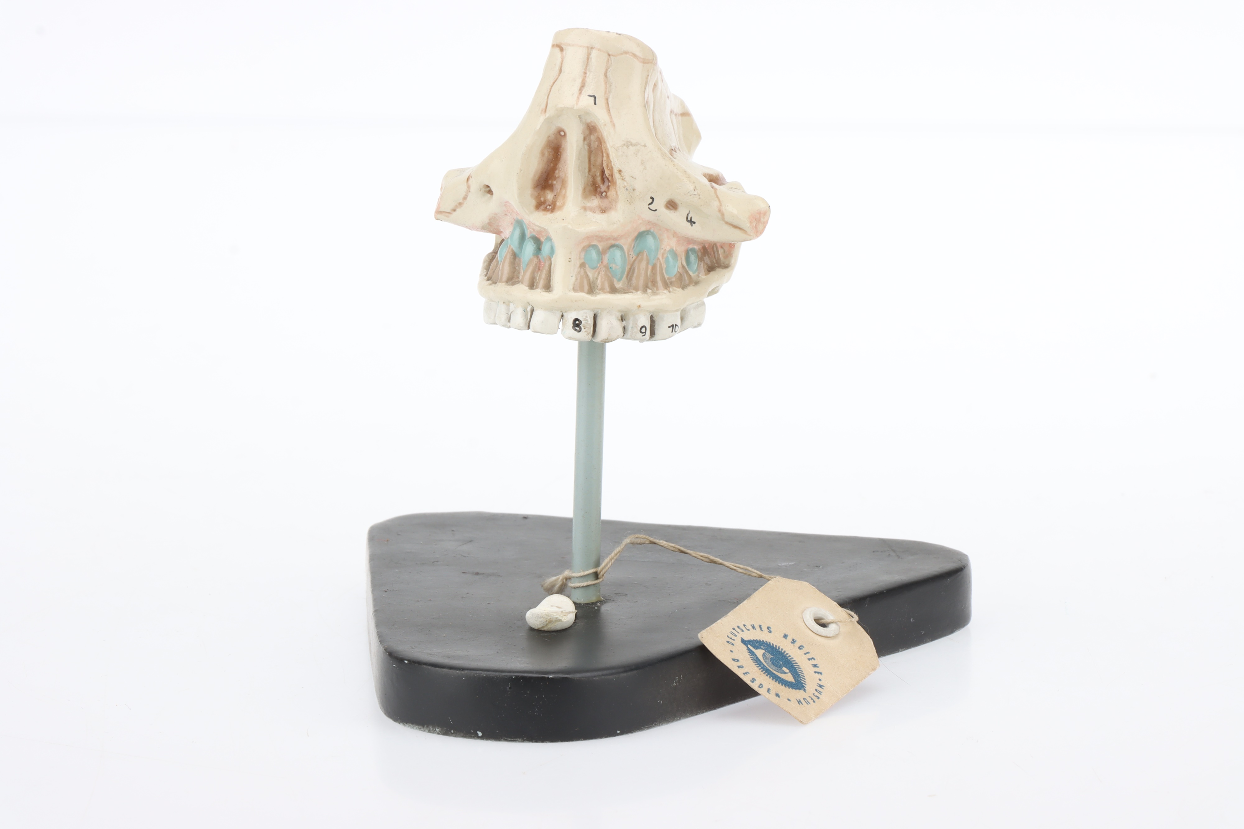 Parts of a Schematic Model Eye, - Image 3 of 9