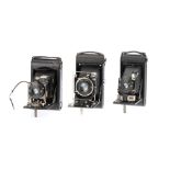 Three Folding Cameras,