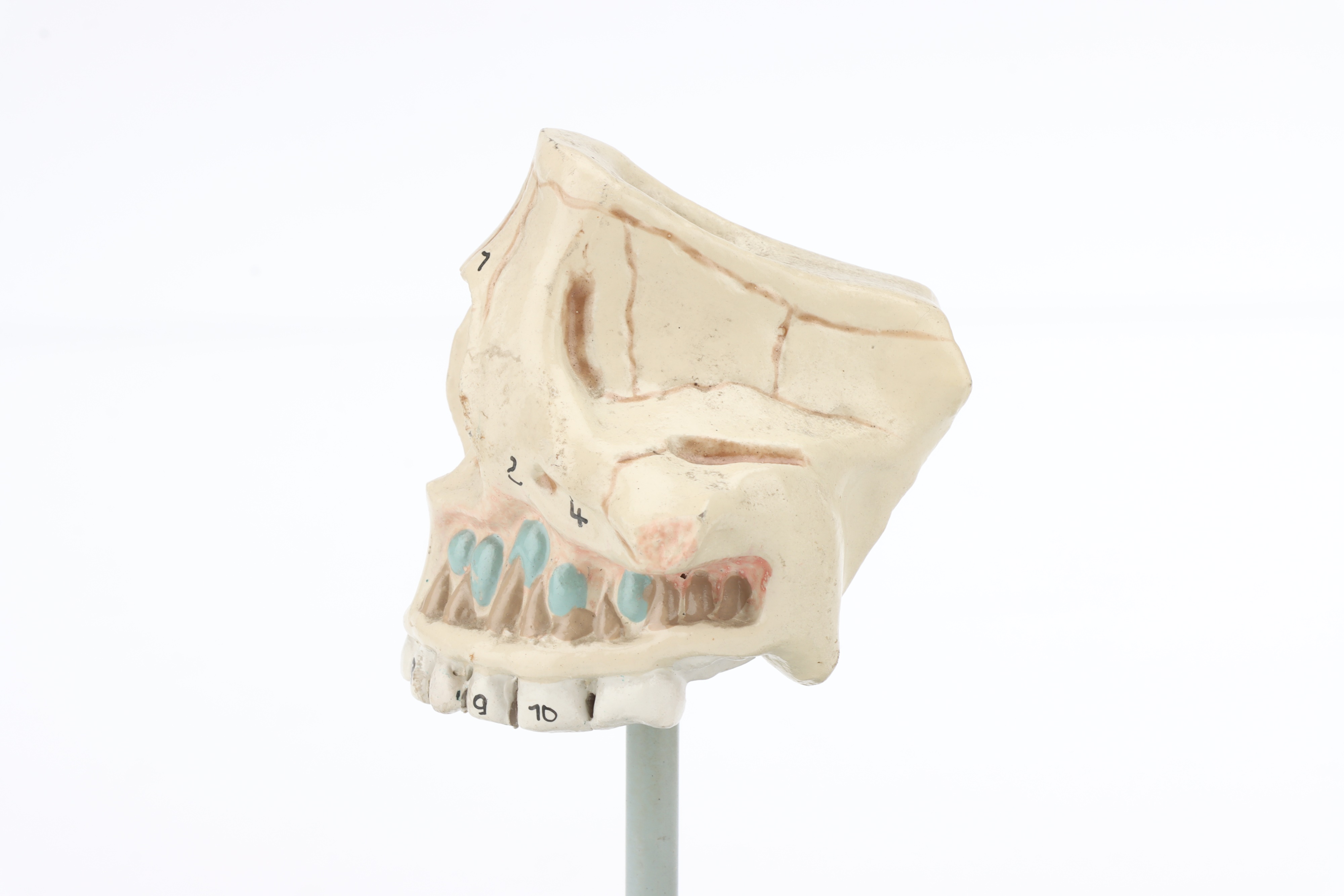 Parts of a Schematic Model Eye, - Image 5 of 9