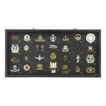 Two Cased Displays of Military Cap Badges,