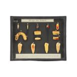 Antique Wax Models of Teeth,