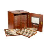 A Large & Impressive Collection of Clarke & Page Microscope Slides,