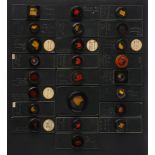 Topping, C. M., Collection of Early Microscope Slides,