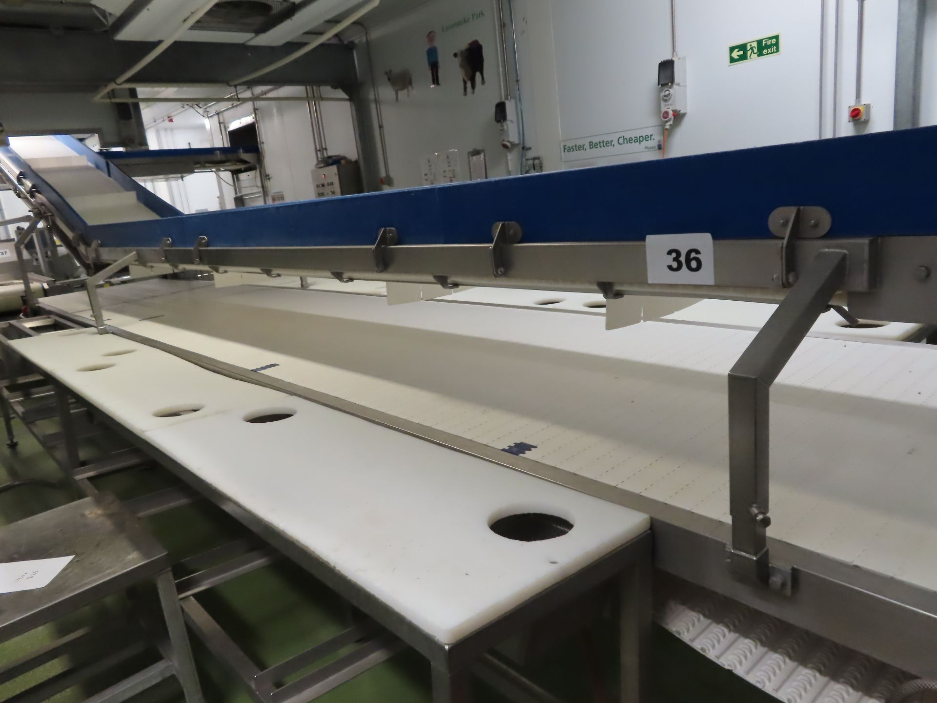 8-STATION, 2-TIER BONING CONVEYOR