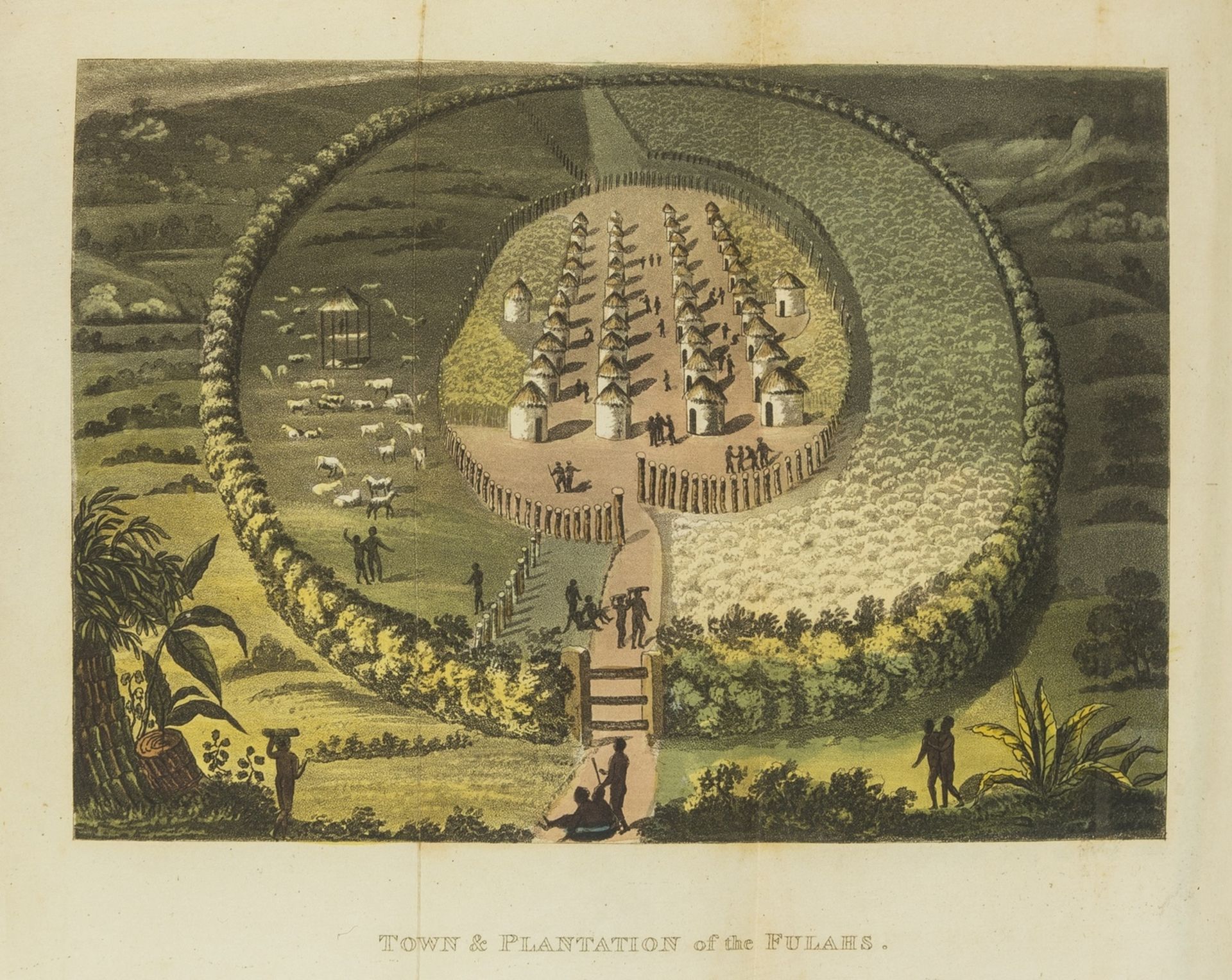 Schoberl (Frédéric) The World in Miniature, 43 vol. [a complete set], attractive contemporary … - Image 4 of 11