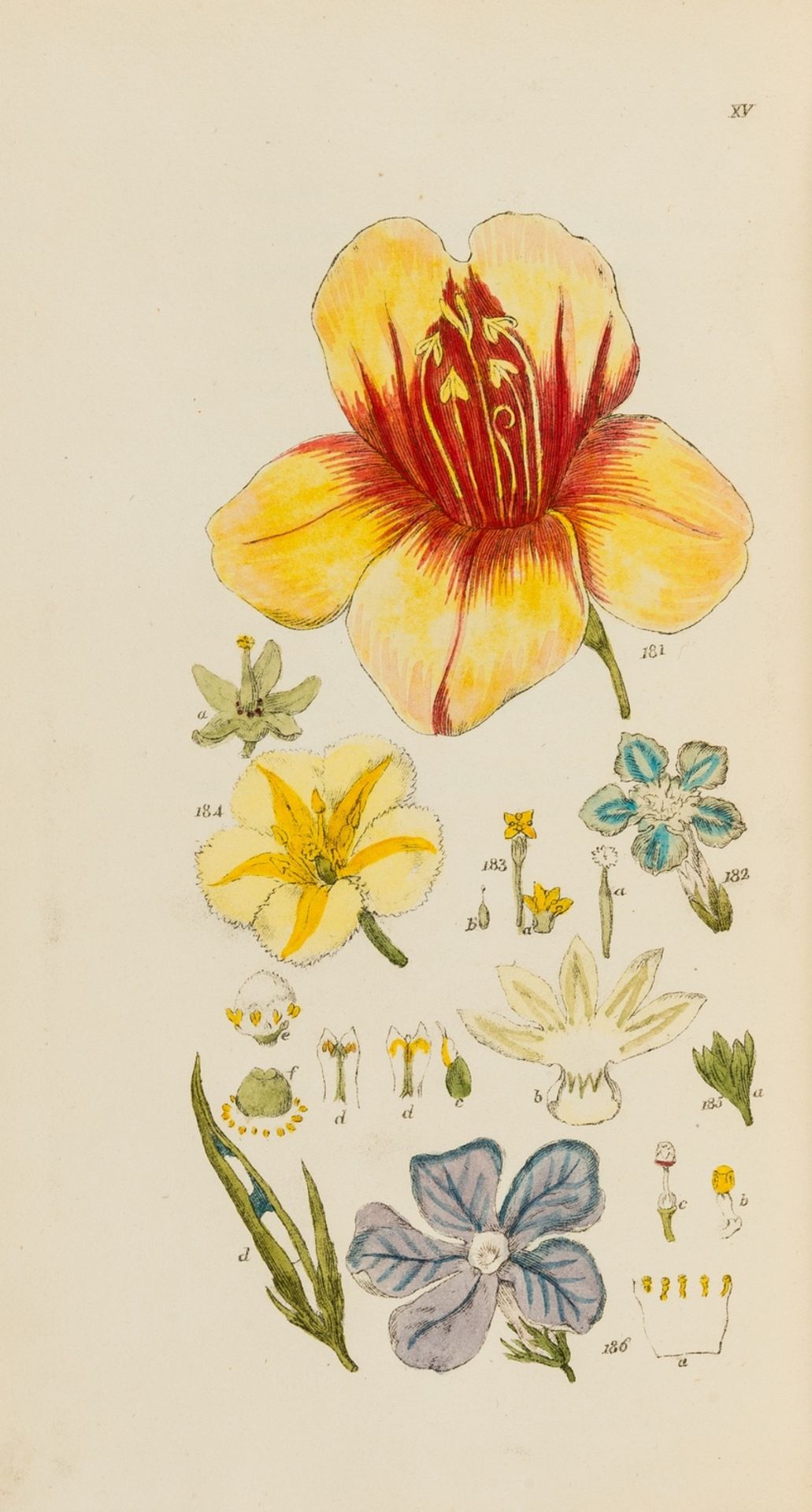 Botany.- Smith (James Edward) A Grammar of Botany, first American edition, New York, James …