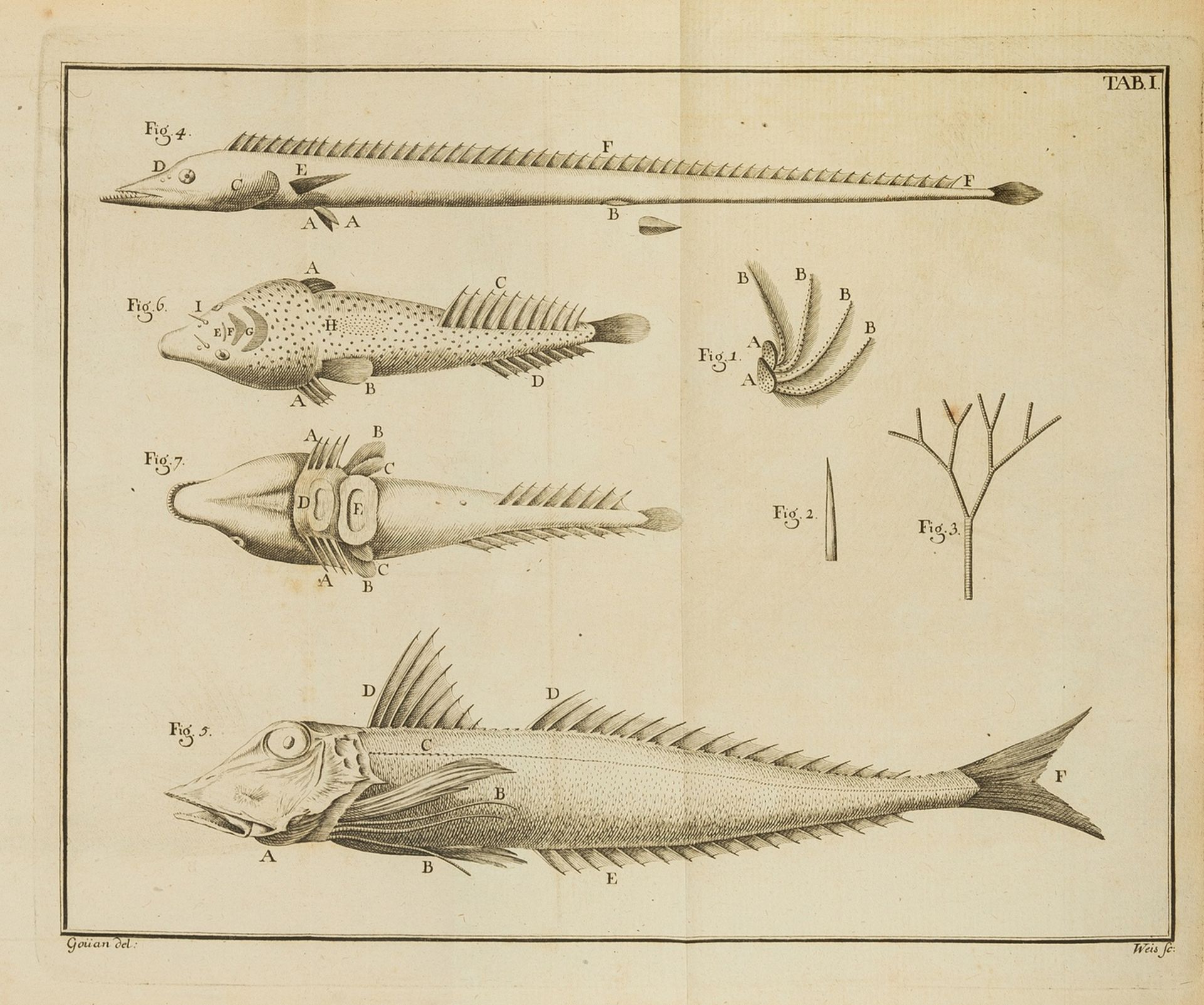 Marine Life.- Goüan (Antoine) Historia Piscium...; Histoire des Poissons..., only edition, …