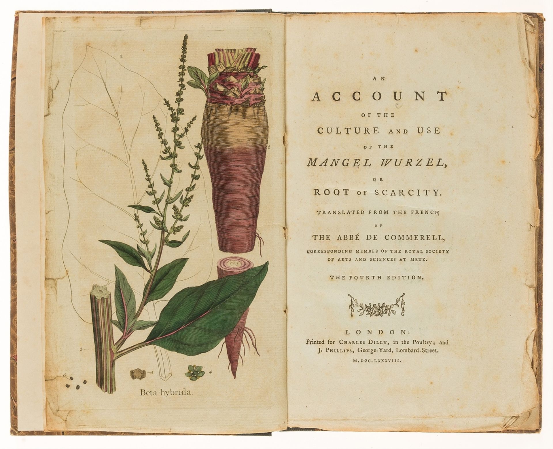 Mangel-Wurzel.- Commerell (Abbé de) An account of the culture and use of the mangel wurzel, or …