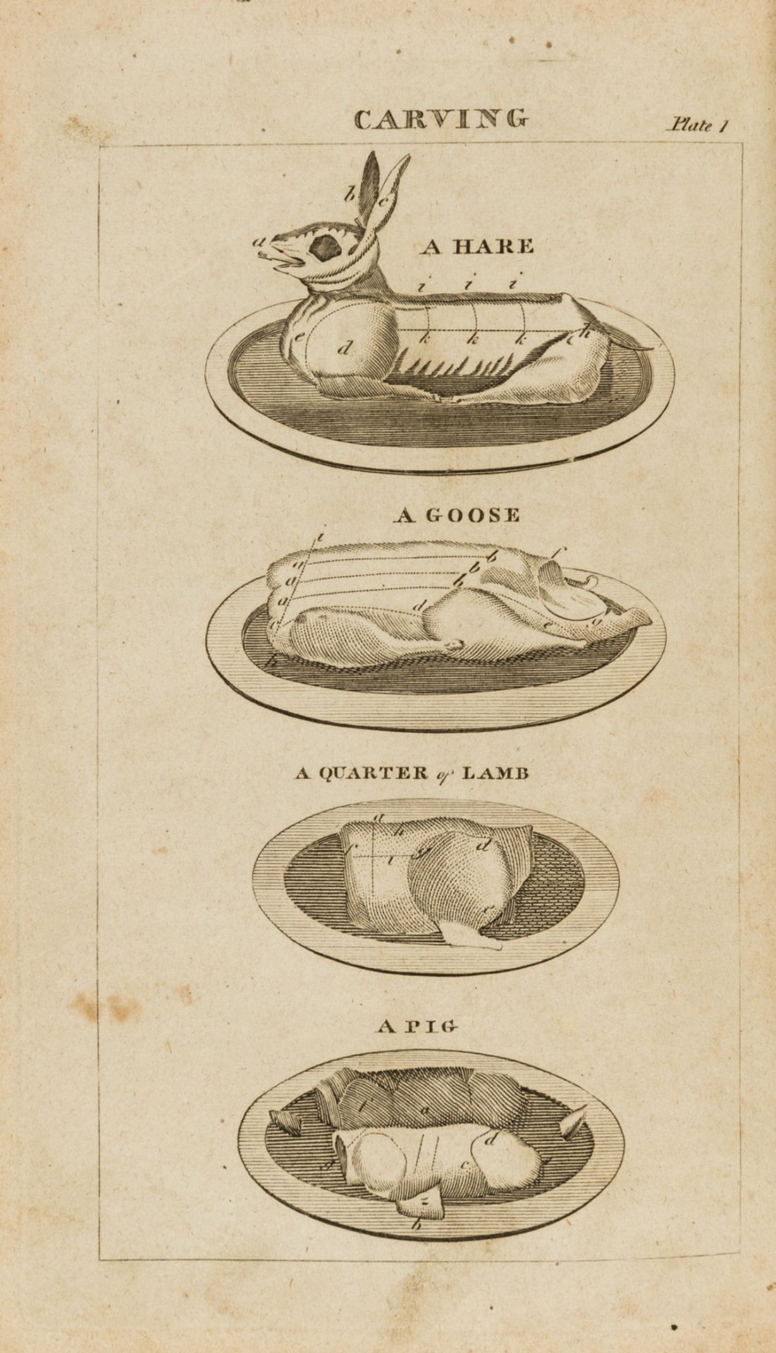 Manchester printed.- The Young Woman's Companion: Or, Frugal Housewife. Containing the Most …