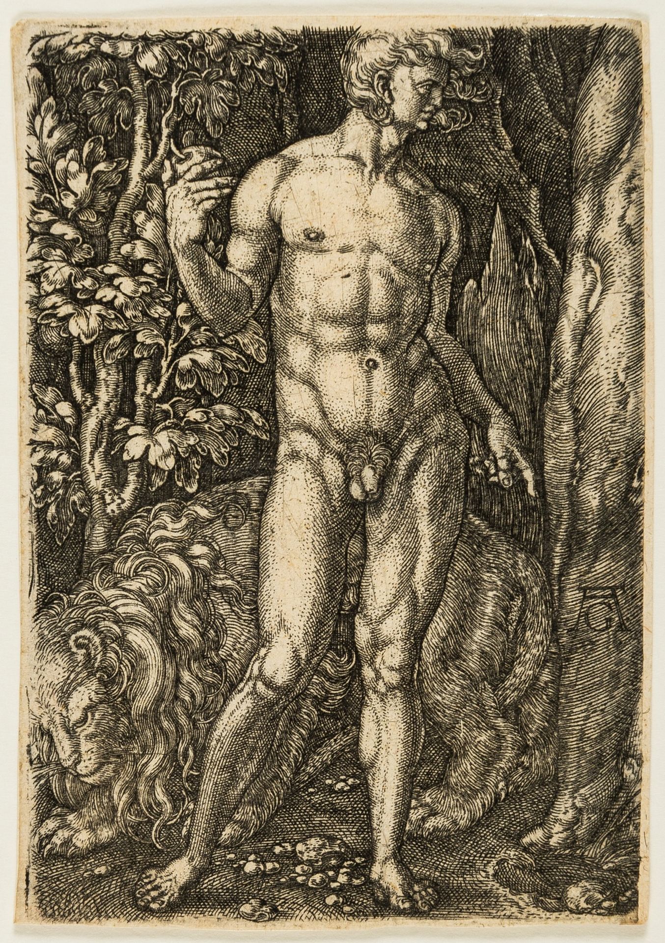 Heinrich Aldegrever (1501-1561) Adam with a lion [and 2 others]