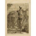 Anatomy.- Tarin (Pierre) Myo-Graphie ou Description des Muscles du Corps Humain, first edition, …