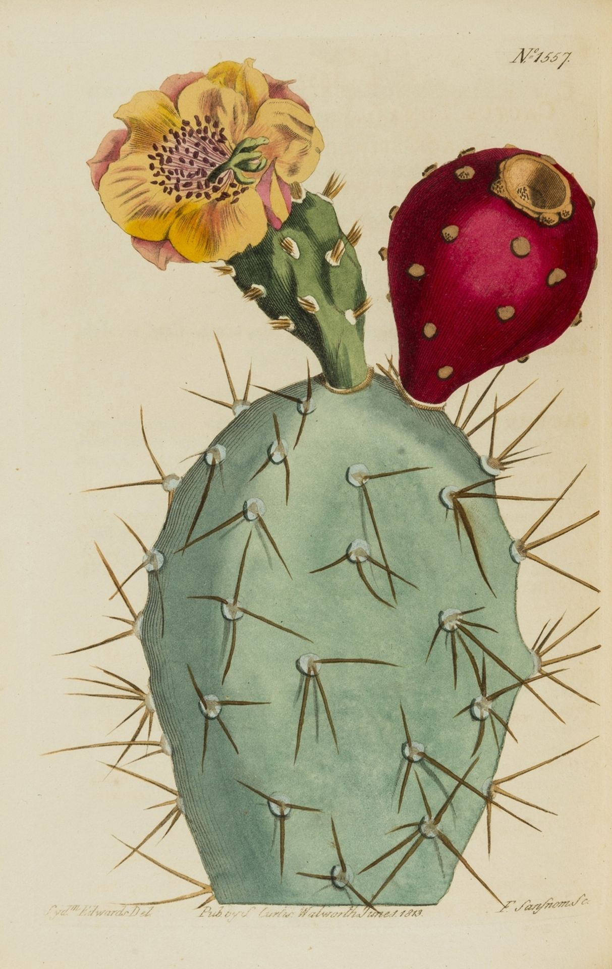 Botany.- Curtis (William) The Botanical Magazine; or, Flower-Garden Displayed, 76 vol. bound in … - Image 4 of 5
