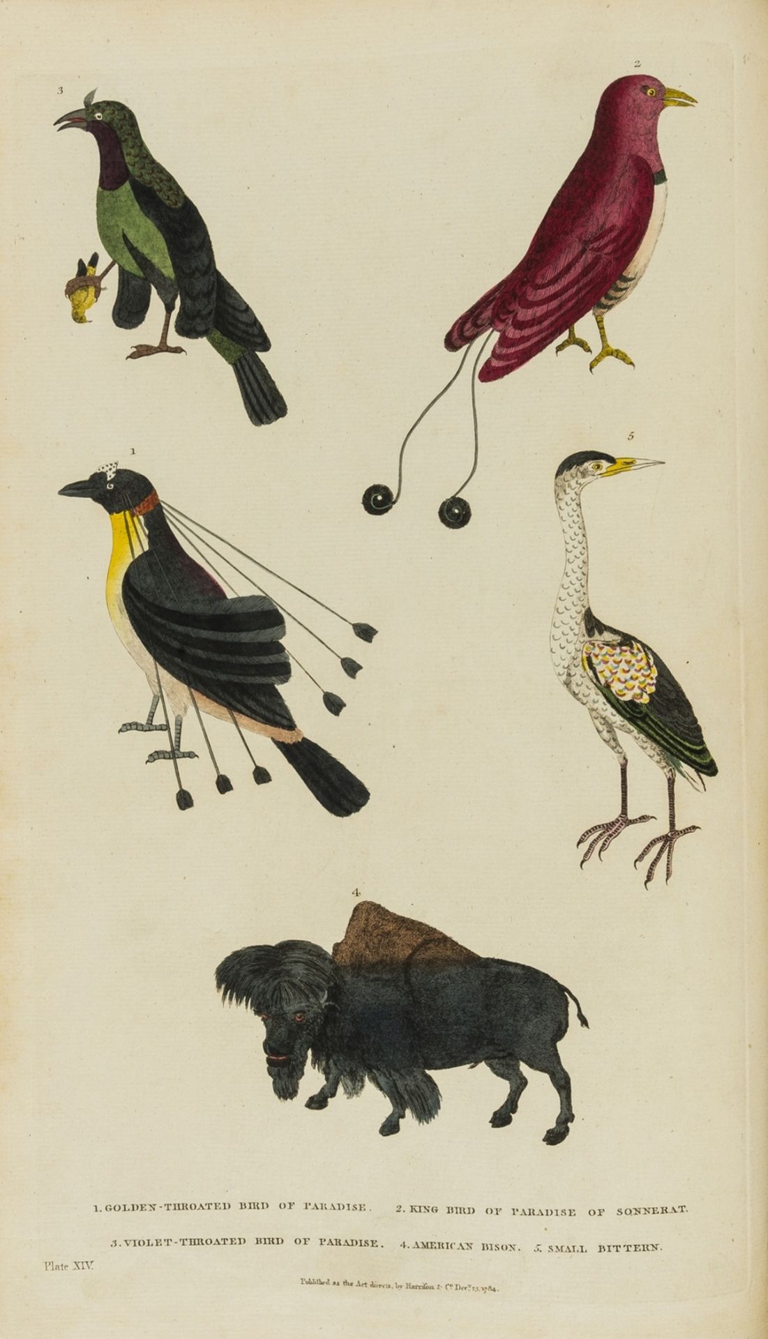 Martyn (William Frederick) A New Dictionary of Natural History; or, Compleat Universal Display of … - Image 2 of 3