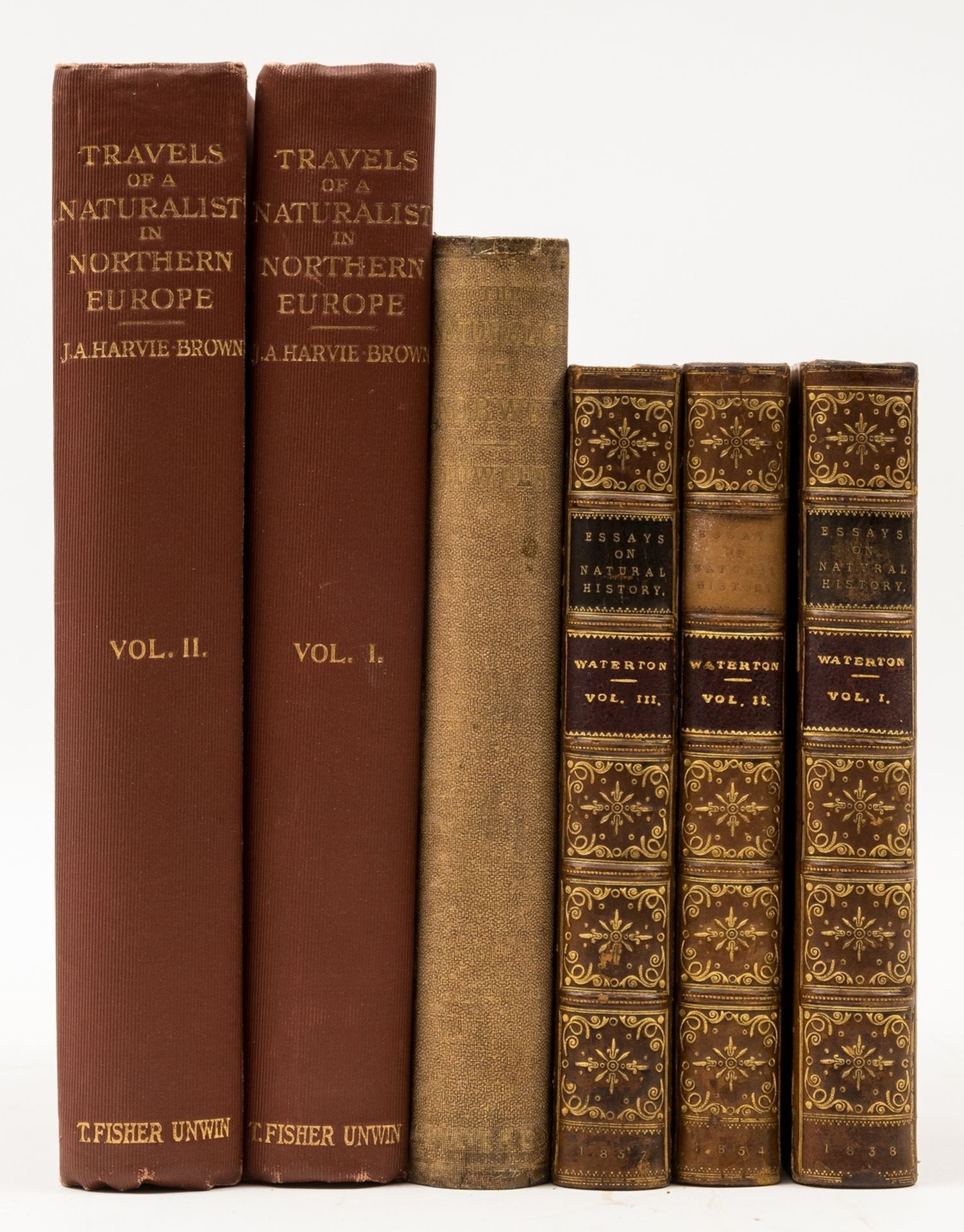 Scandinavia.- Bowden (Rev. J.) The Naturalist in Norway, 1869; and others similar (6)