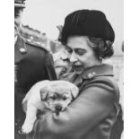 Royalty.- Collection of photographs of members of the Royal Family, mostly of Queen Elizabeth II, …