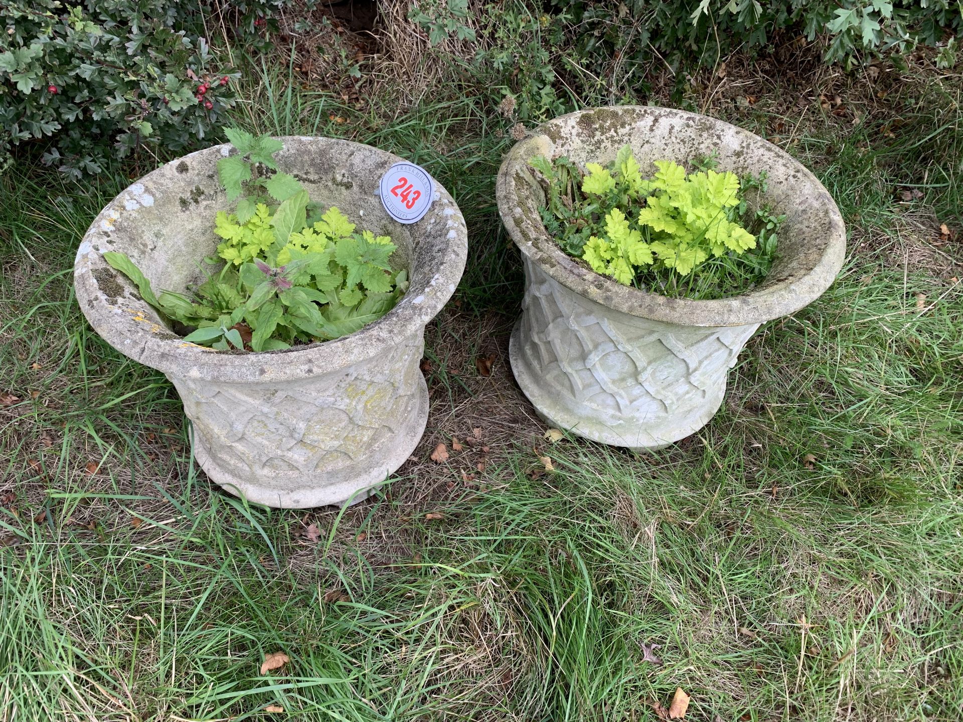 Pair of planters