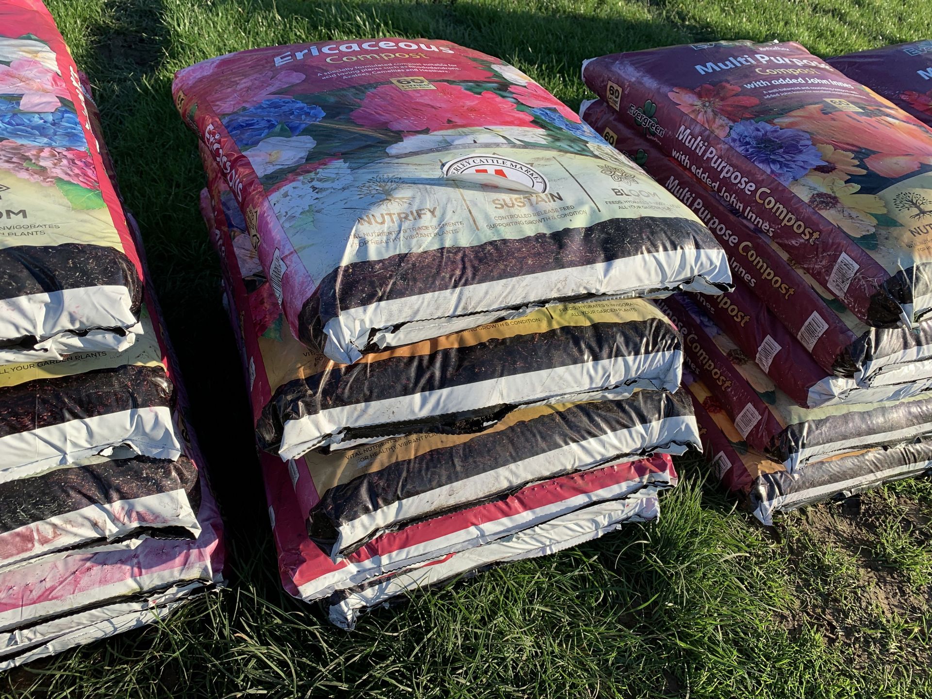 5 bags of ericaceous compost 60l