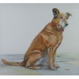 A. Walsgate, a watercolour of a dog, signed and framed under glass, 46.5 x 42cm