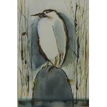 Sheila Jackson, (BRITISH 20TH CENTURY) 'Night Heron', mixed media, signed and framed under glass