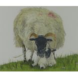 Susan Mitchell, (SCOTTISH CONTEMPORARY) 'Clover Hill Blackie & Lamb' watercolour, signed and