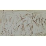 Perpetua Pope (SCOTTISH 1916 - 2013), 'Barley Fields', ink on paper, signed and framed under glass