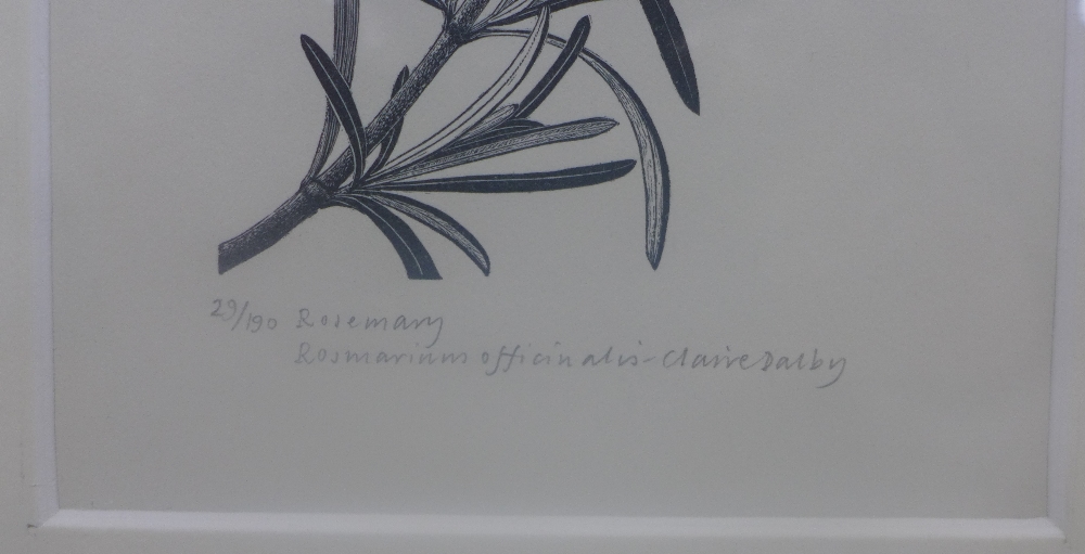 Claire Dalby (b.1944) 'Rosemary' an engraving numbered 29 / 190, signed in pencil and framed under - Image 2 of 2