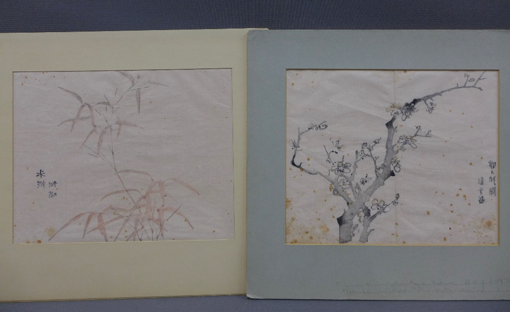 Chinese School, two floral study watercolours, late 18th / early 19th century, with calligraphy, - Image 5 of 5