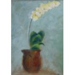 South East Asian School, oil on board of a potted orchid, signed with a monogram, framed, 49 x 69cm